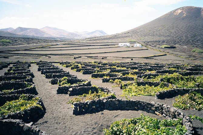 Tour to Timanfaya, La Geria, and La Laguna Verde