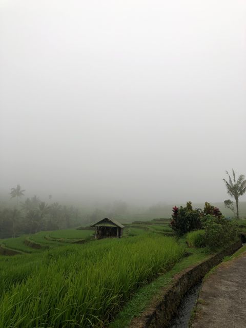 Tour & Traval Guide | Bedugul - Overview