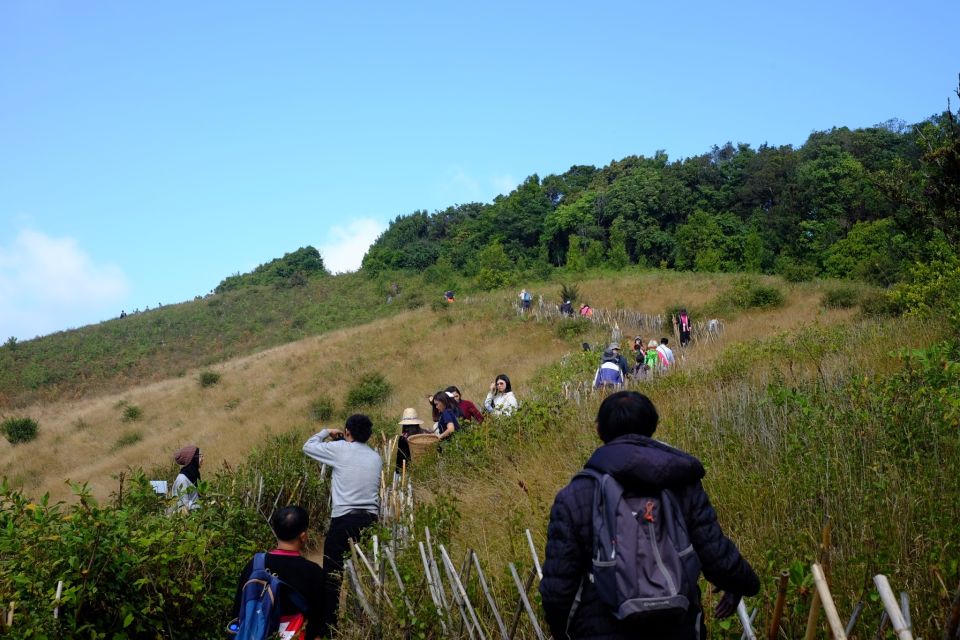 Tour With Hike in Kiew Mae Pan Natural Trail From Chiang Mai