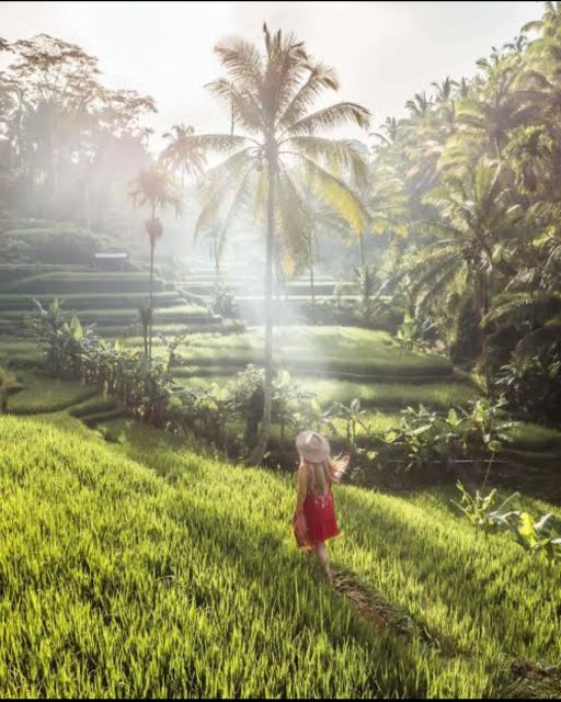 Tourism Ubud Tour With Hidden Waterfalls