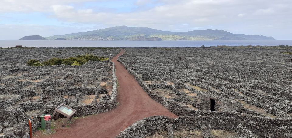 Tours on Pico Island – Cultural and Natural Landscape