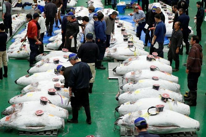 Toyosu Market Morning Tuna Auction and Tsukiji Food Tour With Licensed Guide - Whats Included in the Tour