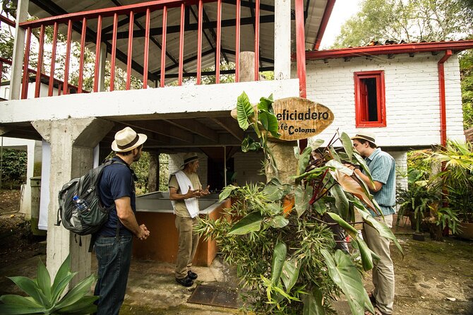 Traditional Coffee Farm Experience at Hacienda Coloma From Bogotá