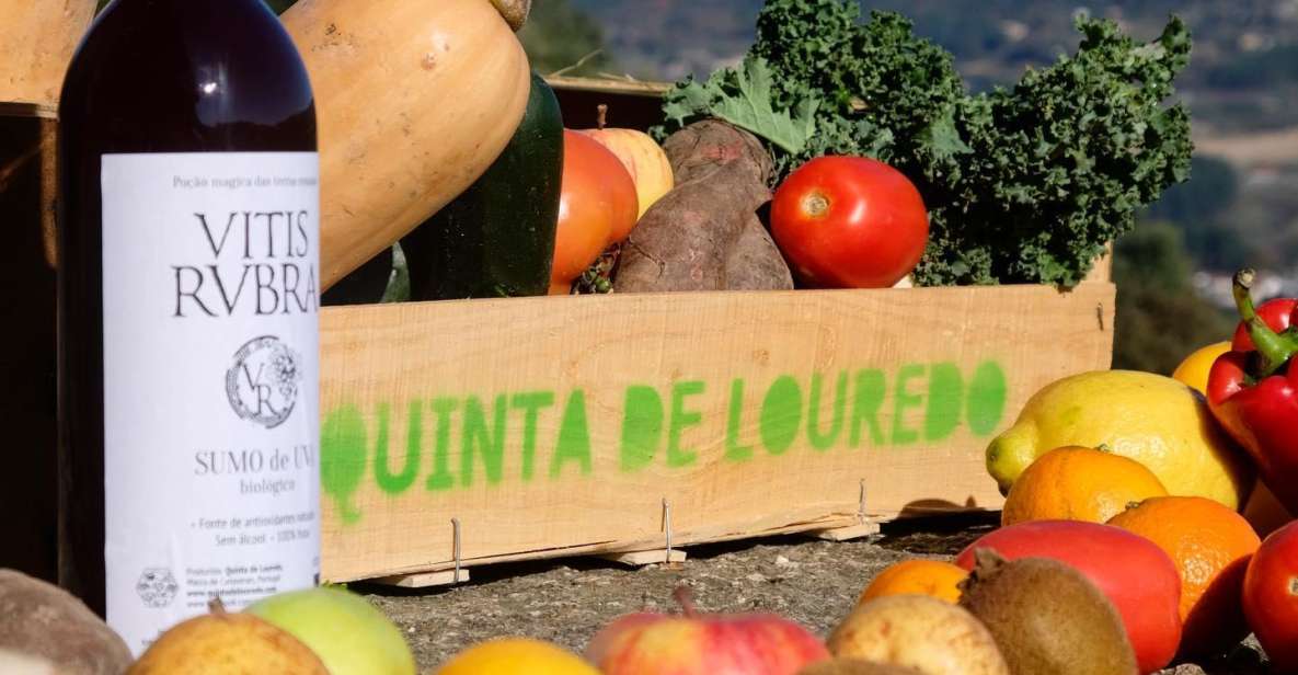 Traditional Cooking Class and Farm Tour in the Douro Valley