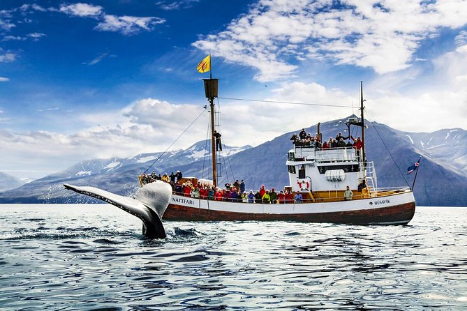 Traditional Oak Ship Whale Watching Tour From Husavik - Tour Overview