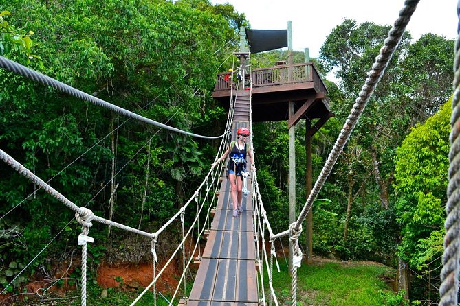 Tree Limin Extreme Zipline