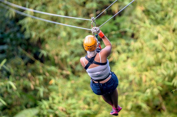 Treetop Zipline Experience From Castries