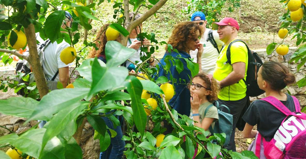 Trekking Lemon Tour