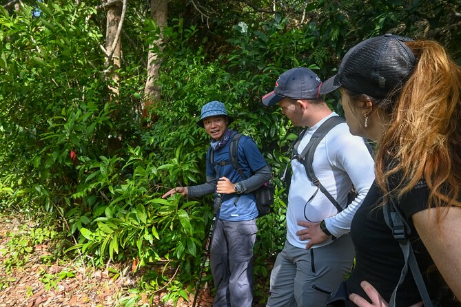 Trekking to Tien Son Dinh, Phu Quoc