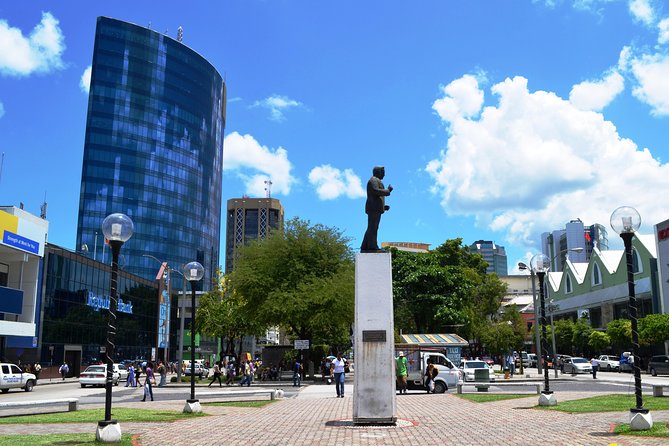 Trinidad Highlights Tour From Port of Spain