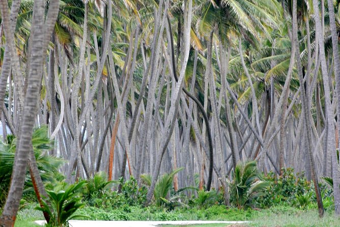 Trinidad Island Circle Tour With Pickup