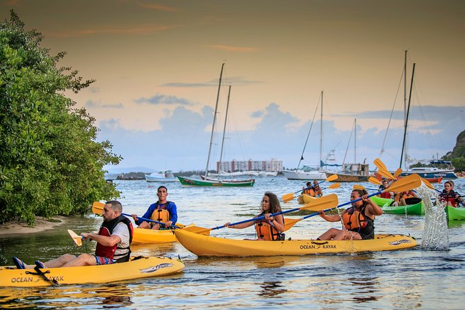 Trio Tour: El Yunque, Luquillo Beach, and Bio Bay Night Kayaking - Overview of Trio Tour