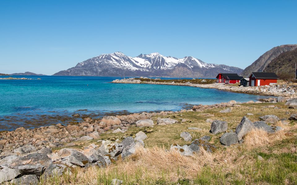 Tromsø: Arctic Landscapes Sightseeing With Citizen Science