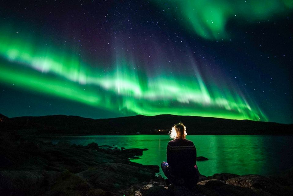 Tromsø: Northern Lights Chase Minibus Tour With Campfire