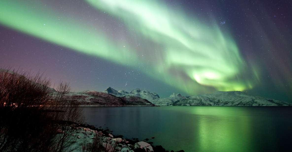 Tromsø: Northern Lights Chase With 2nd Chance Guarantee - Overview of the Experience