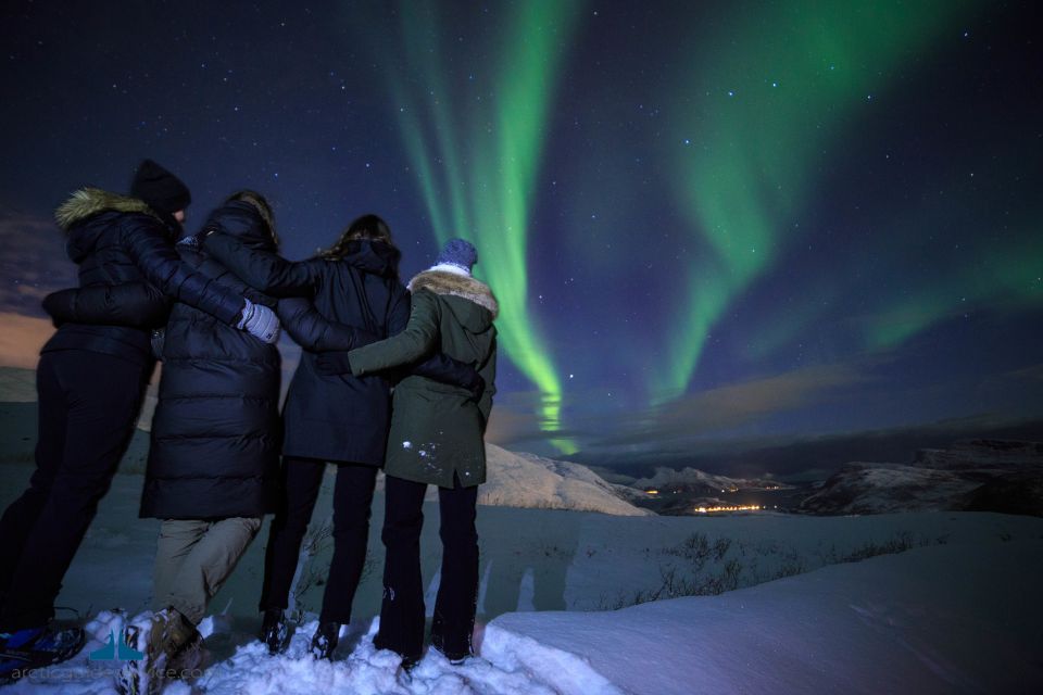 Tromsø: Northern Lights Guided Bus Tour