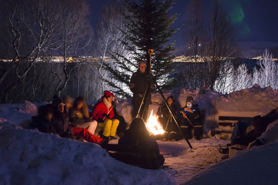 Tromsø: Northern Lights Husky Visit With Traditional Dinner