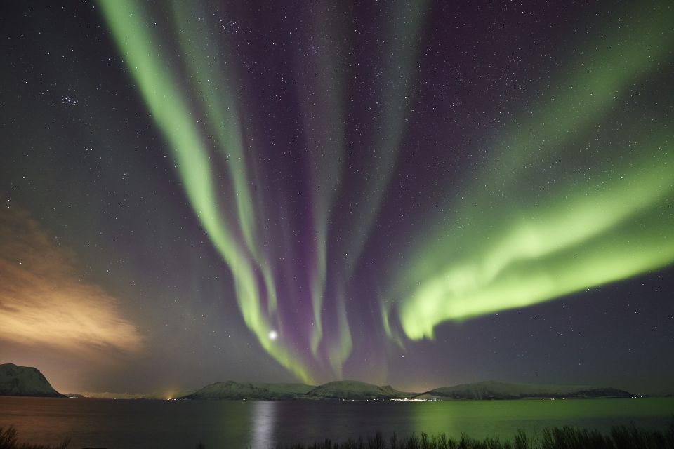 Tromsø: Private 6-Hour Aurora Chase by Minivan