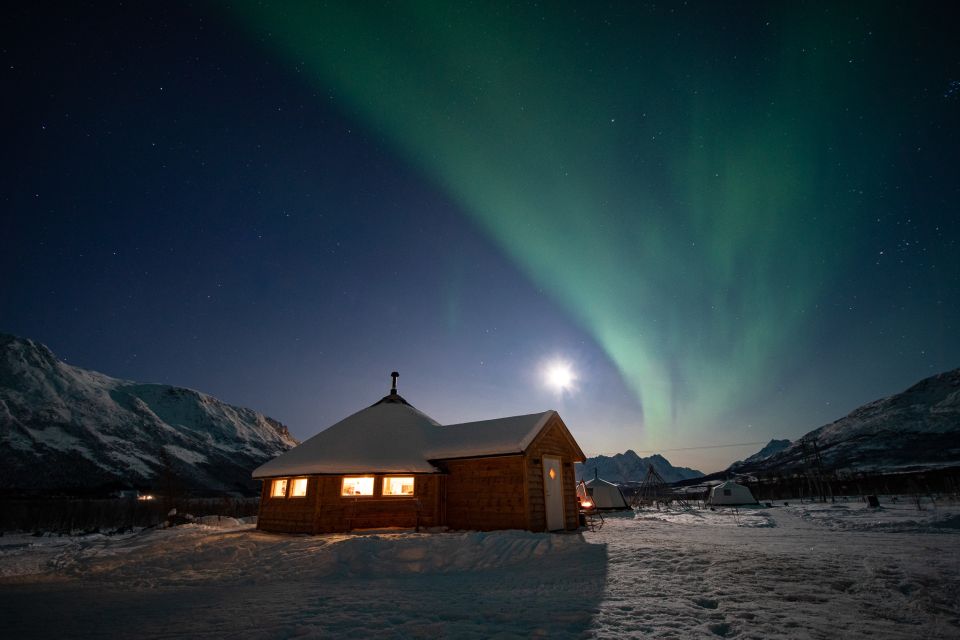 Tromsø: Reindeer Feeding & Chance of Northern Lights Viewing