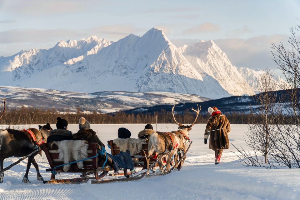 Tromsø: Sami Reindeer Sledding and Sami Cultural Tour