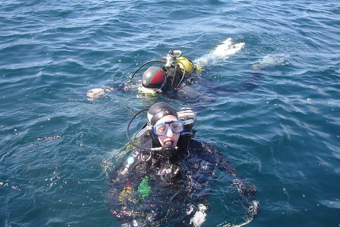 Try Dives – Discover Scuba Diving in Albufeira