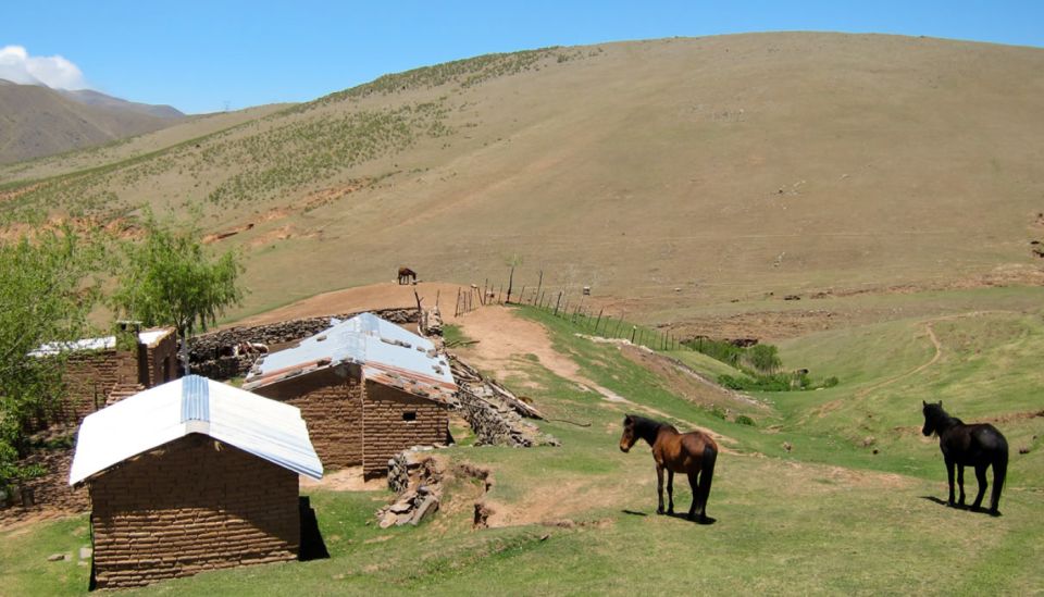 Tucumán: Tafí Del Valle Full Day Tour