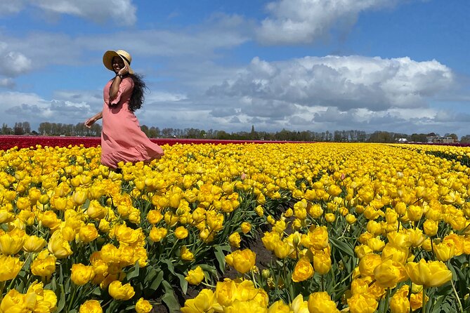 Tulip Field With a Dutch Windmill Guided Day Tour From Amsterdam