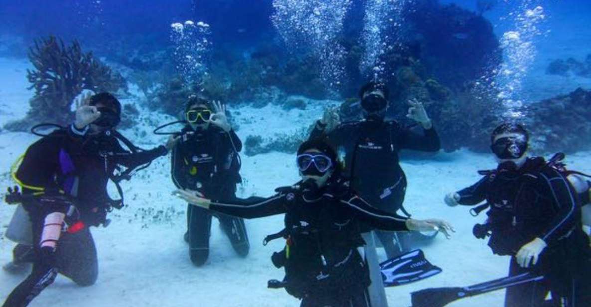 Tulum: Try Scuba Diving Adventure - Tour Overview