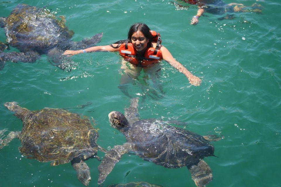 Tumbes: Beach Circuit and Swimming With Turtles