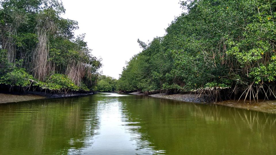 Tumbes: Puerto Pizarro Islands and Mangroves