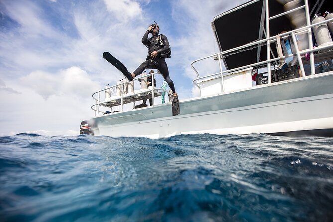 Two Dive Tour | Las Catalinas Islands