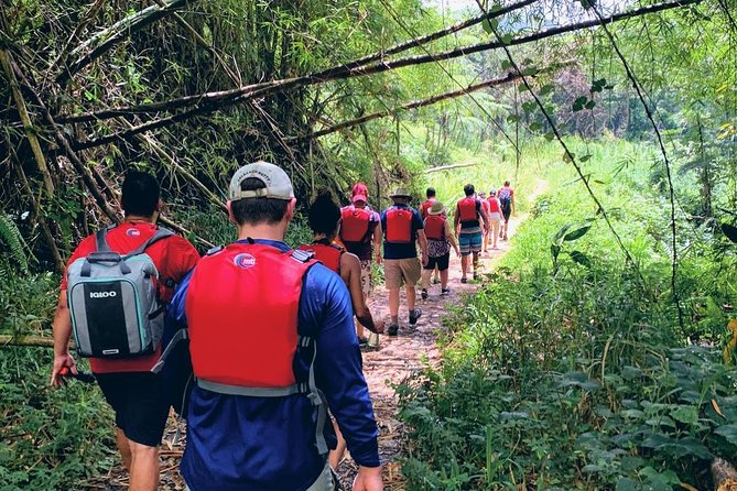 Two-In-One Day Trip: El Yunque and Bio Bay Tour With Transport - Bioluminescent Lagoon Experience