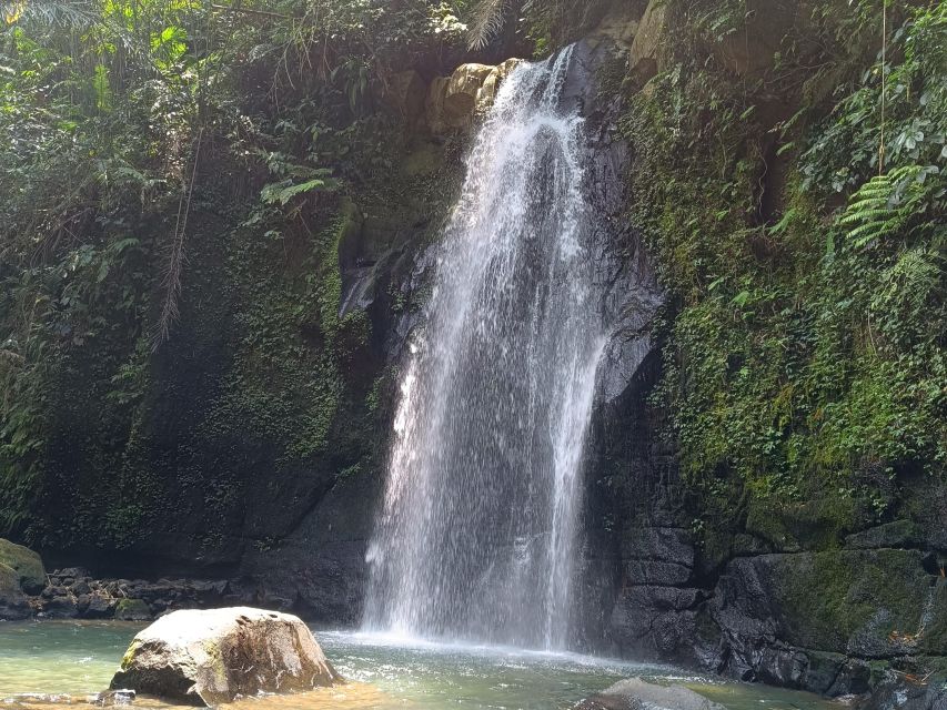 Ubud Best Attractions: Rice Terrace, Waterfall, Swing Tour