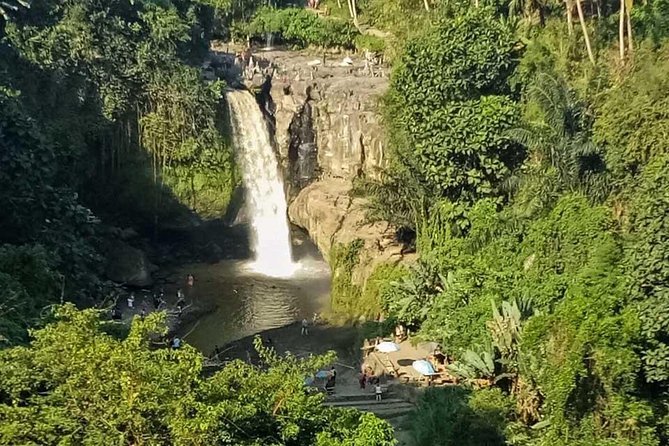 Ubud Best Tour