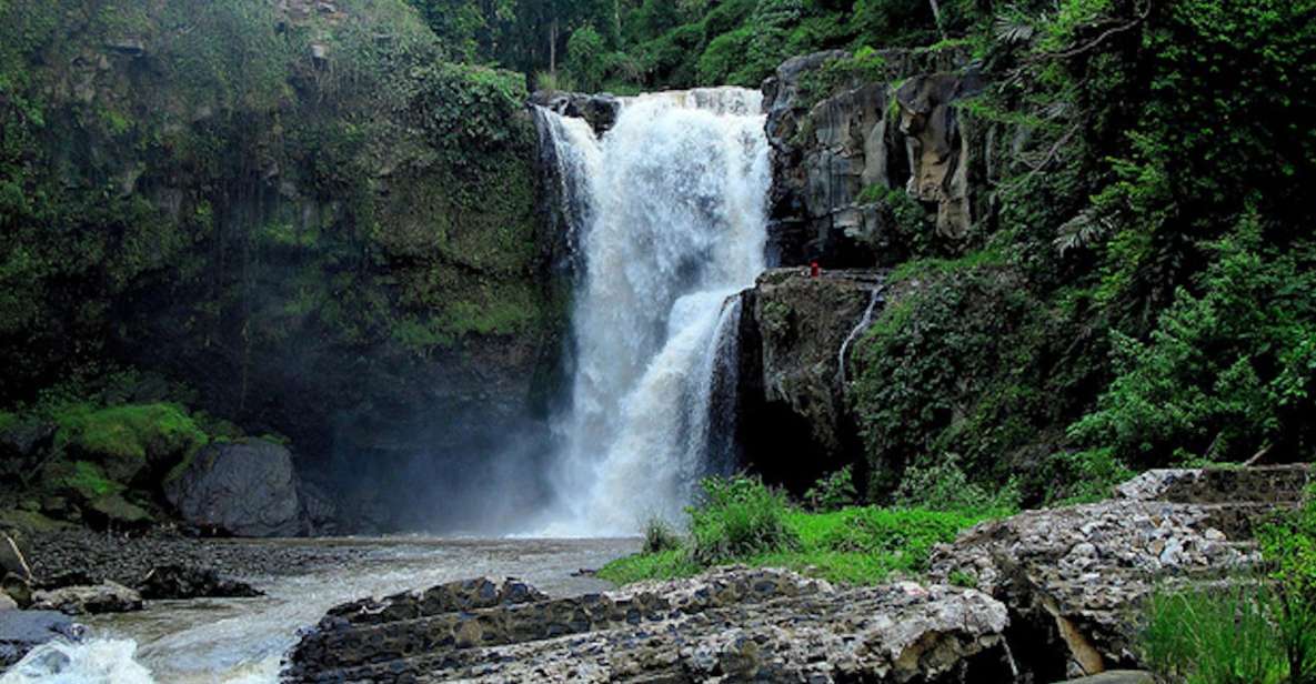 Ubud & Canggu: Rice Terrace, Waterfall & Black Sand Beach