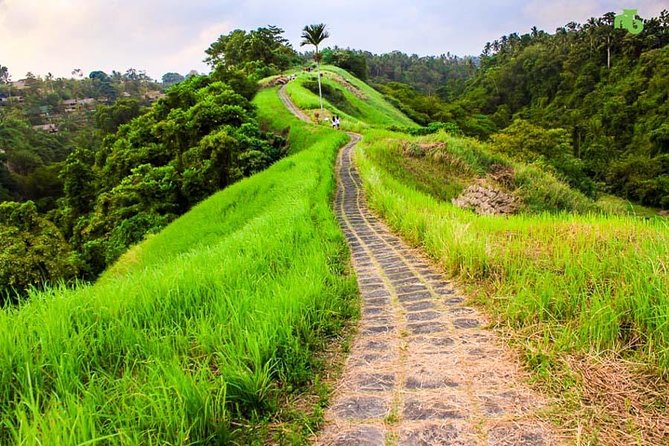 Ubud Countryside Tour: Campuhan Ridge Walk and Rice Terrace