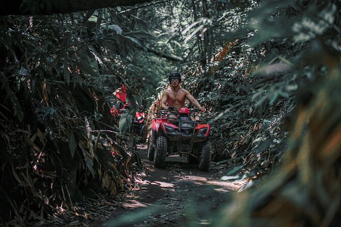 Ubud: Gorilla Face ATV Quad Bike Adventure With Lunch