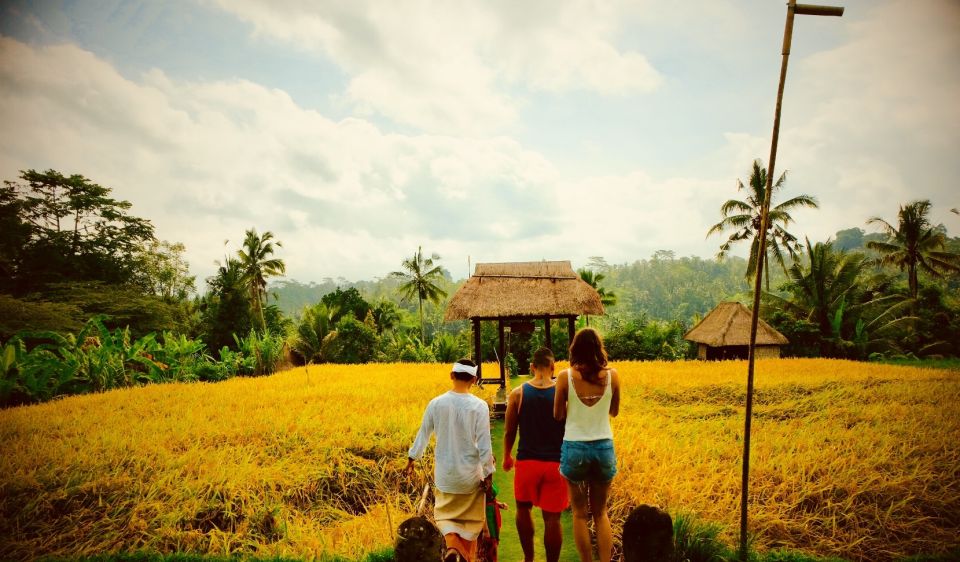 Ubud: Half-Day Semi-Customized Private-Tour With Live Guide