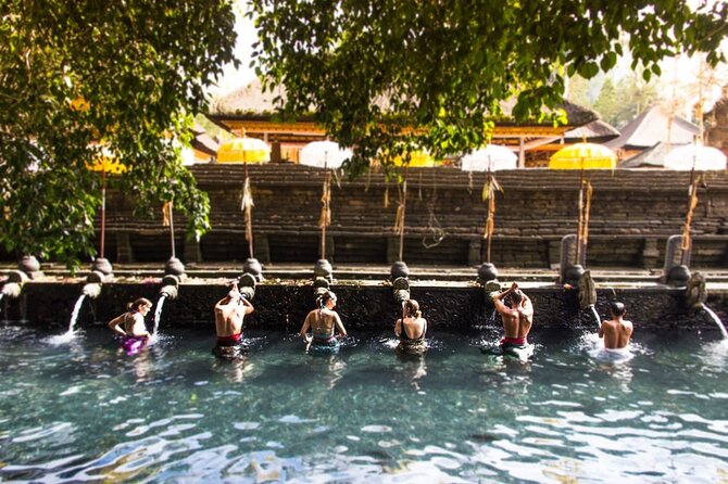 Ubud Highlight Tour With Waterfalls Private All-Inclusive