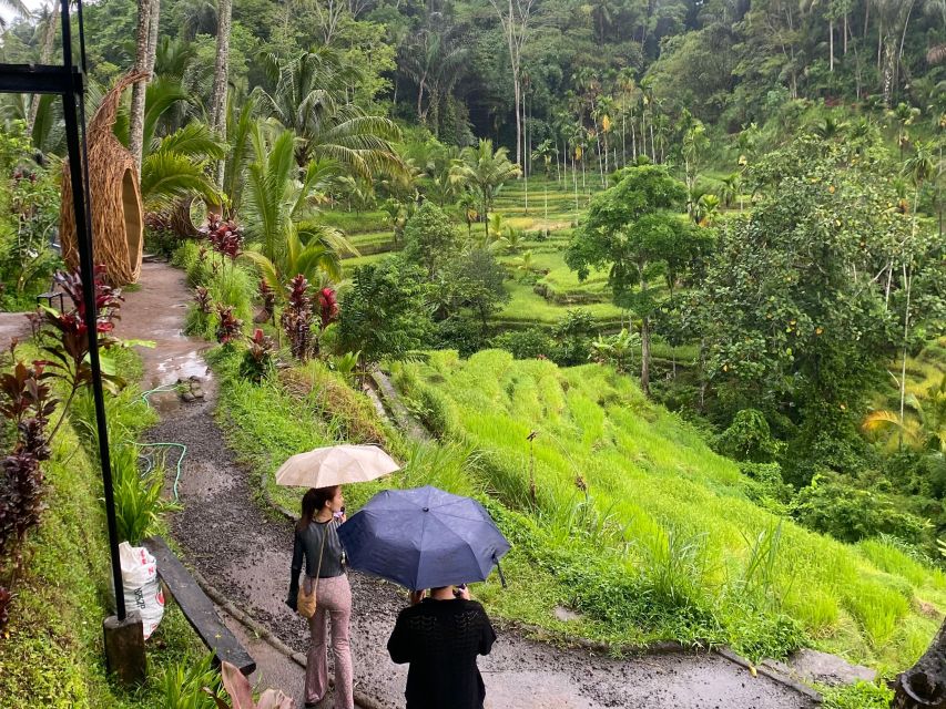 Ubud: Monkey Forest, Rice Terrace, Temple & Hidden Waterfall