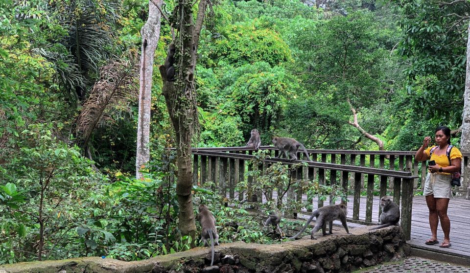 Ubud: Monkey Forest, Waterfall, Rice Terrace & Water Temple