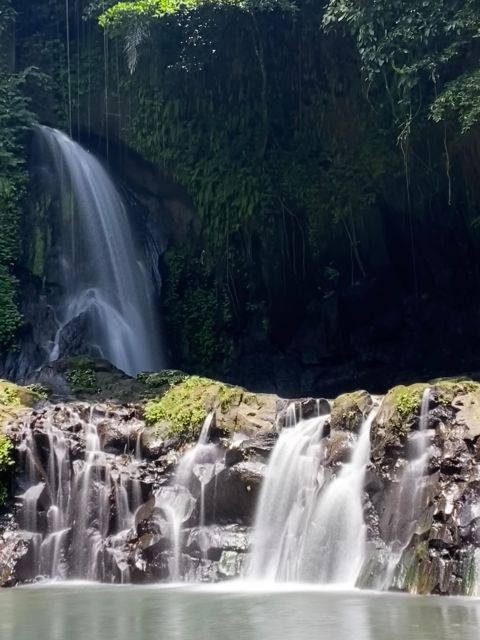 Ubud Private Tour/Rice Terrace, Tirta Empul, Waterfalls, Etc