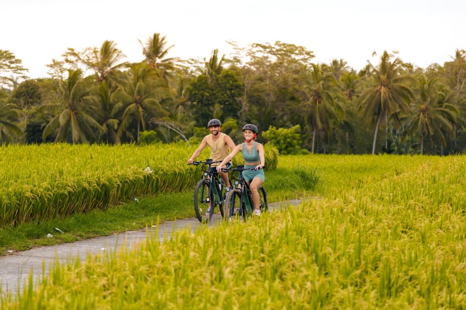 Ubud Rice Terrace & Villages E-Bike Tour by Alasan Adventure