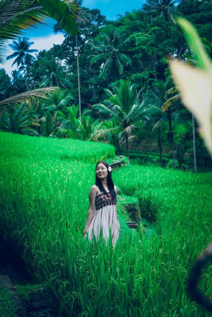 Ubud: Rice Terrace, Water Temple And Waterfall Private Tours