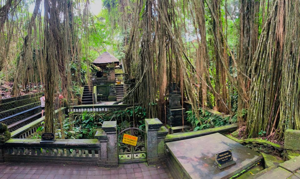 Ubud: Rice Terrace, Waterfall & Monkey Forest Guided Tour