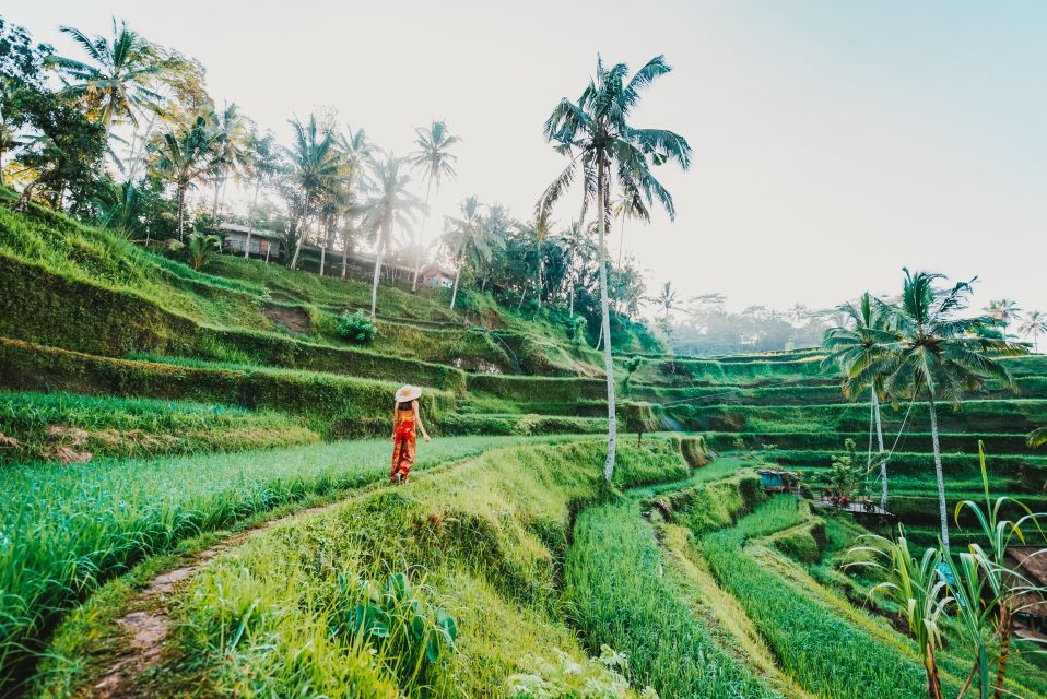 Ubud: Spectacular Waterfalls Tour