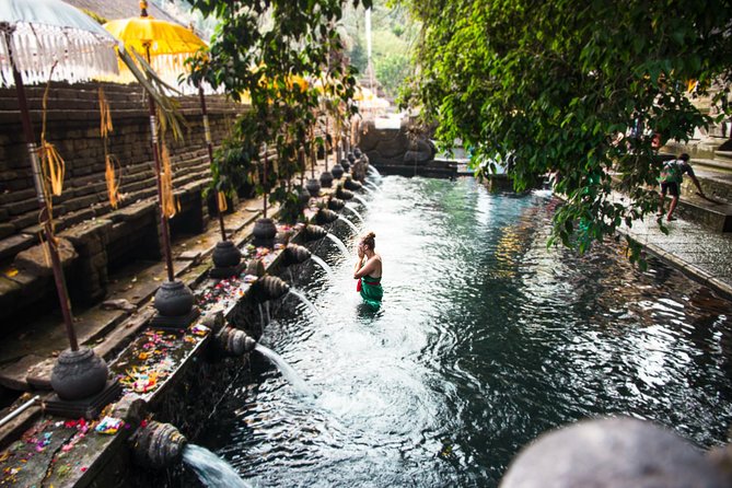 Ubud Surounding Tour - Overview of the Tour