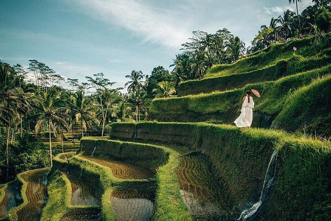 Ubud: Swing – Monkey Forest – Waterfall – Temple – Rice Terraces – Art Crafts