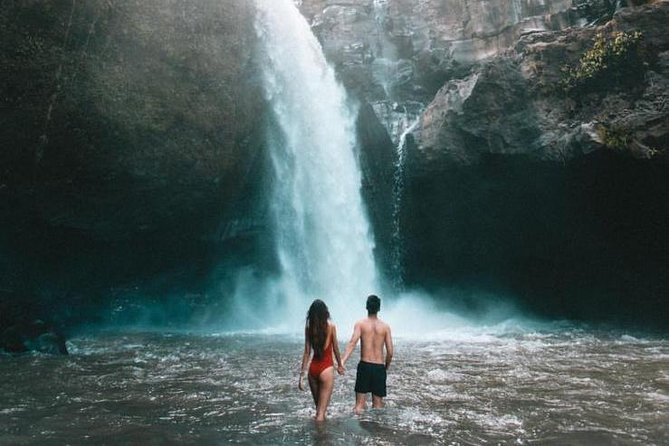 Ubud Tanah Lot Rice Terrace Waterfall Private Guide Tour