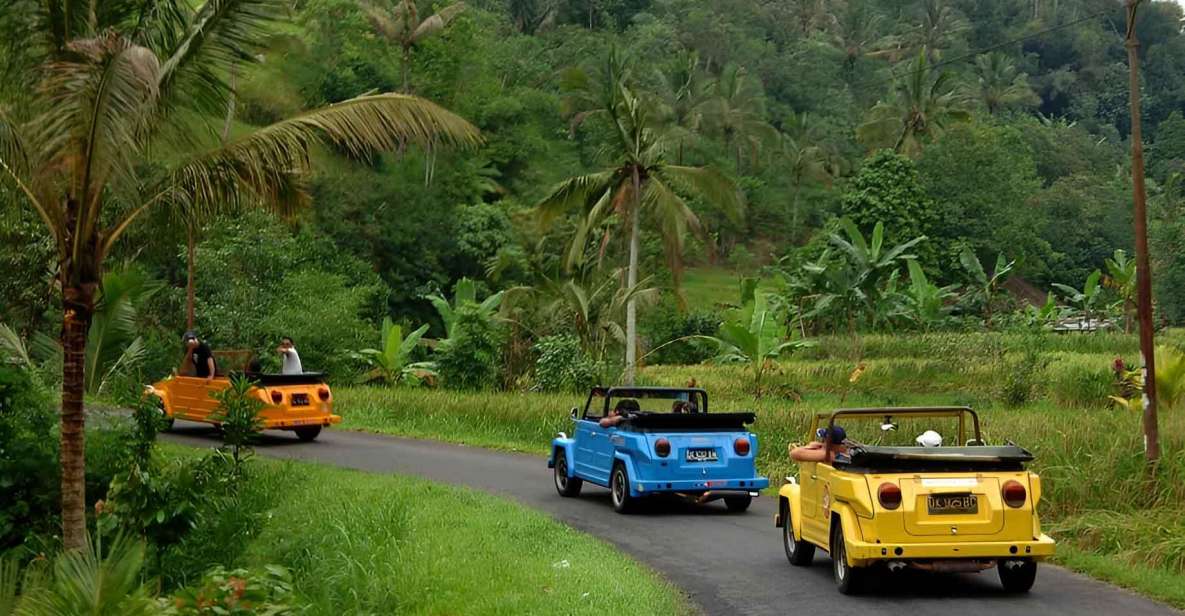 Ubud VW Safari Bali Tour